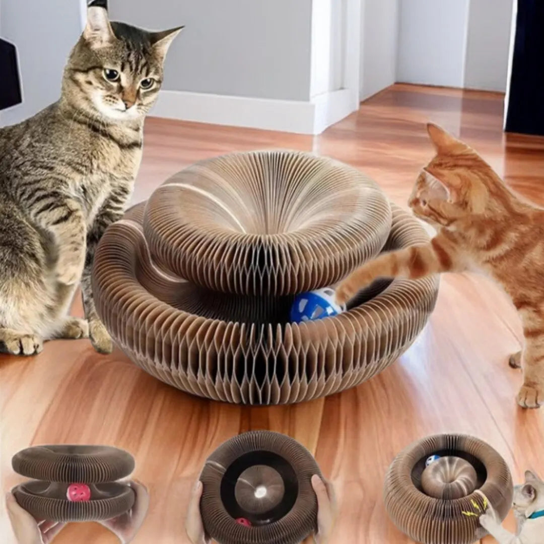 Magic Cat Scratch Organ Board Cat Toy with Ball Cat Grinding Claw