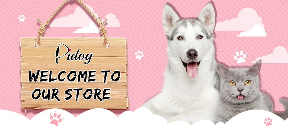 Cat Collars  Engraved Puppy Kitten ID Necklace Bling
