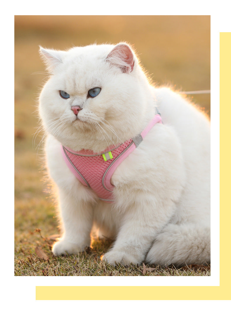 Cat Dog Harness Vest Chest Rope Set Reflective