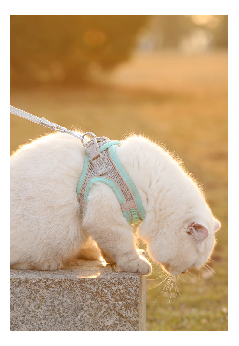 Cat Dog Harness Vest Chest Rope Set Reflective
