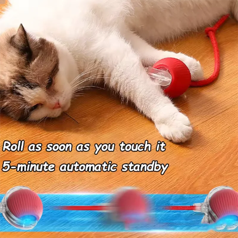 Hot intelligent interactive cat ball long-lasting pet dog toys