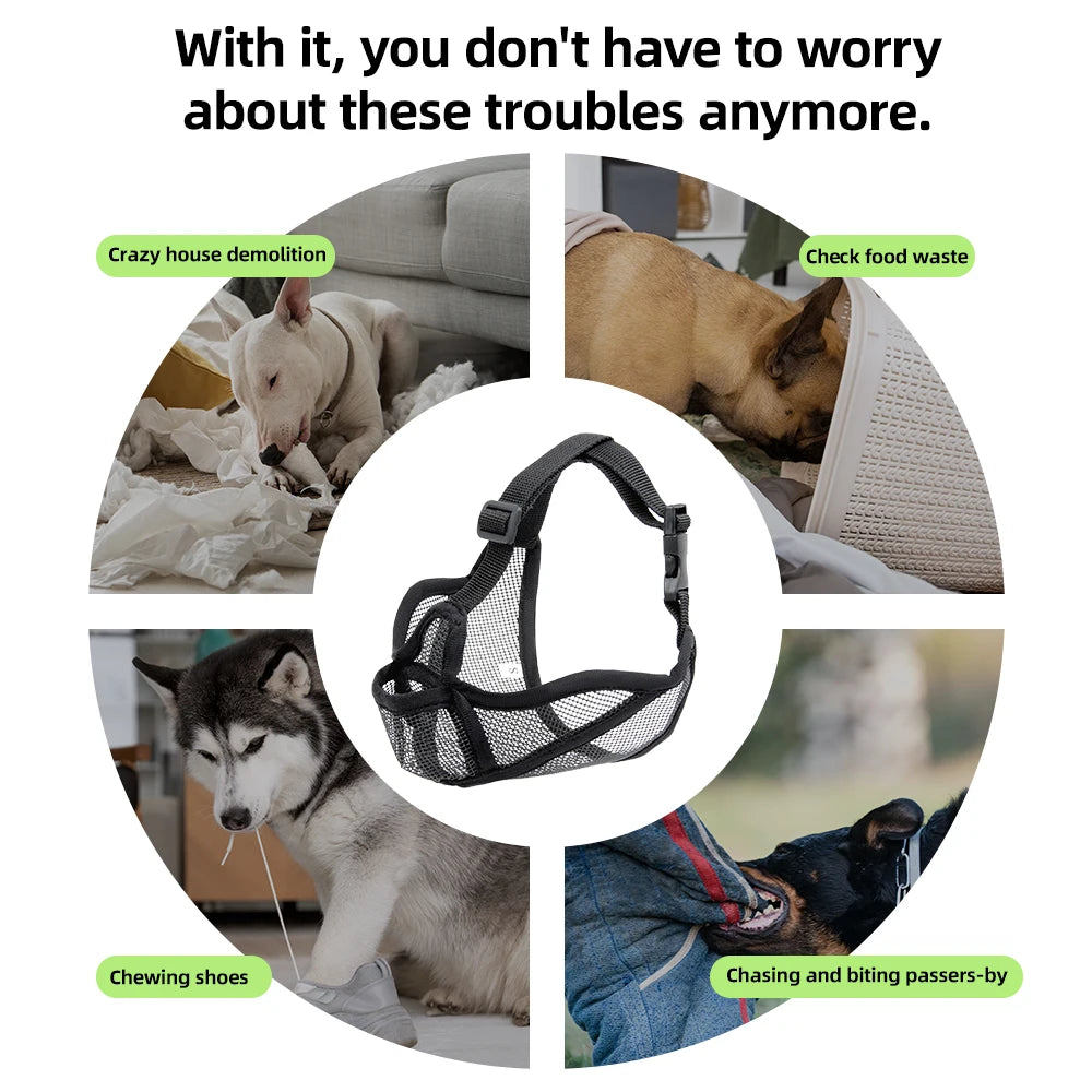 Dog Muzzle for Short
