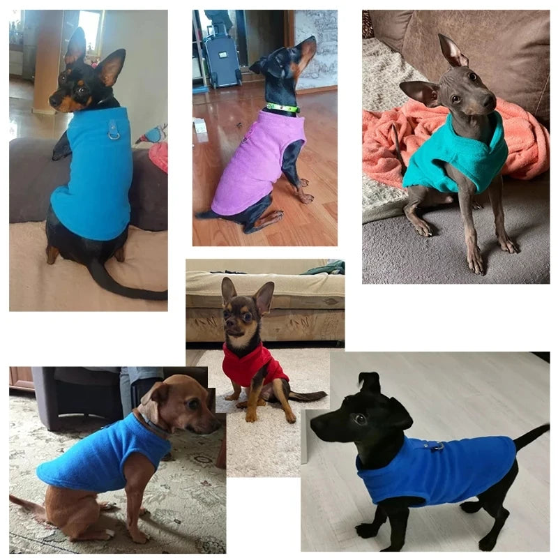 Warm Fleece Dogs Clothes Pet Dog Jacket Vest With D