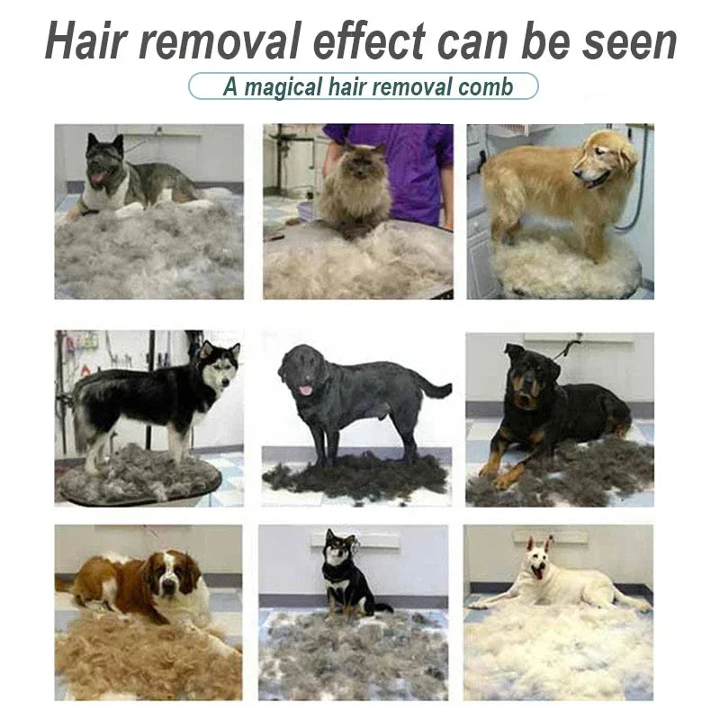 Pet Brush for Dogs Cats Dog Comb Pet Hair