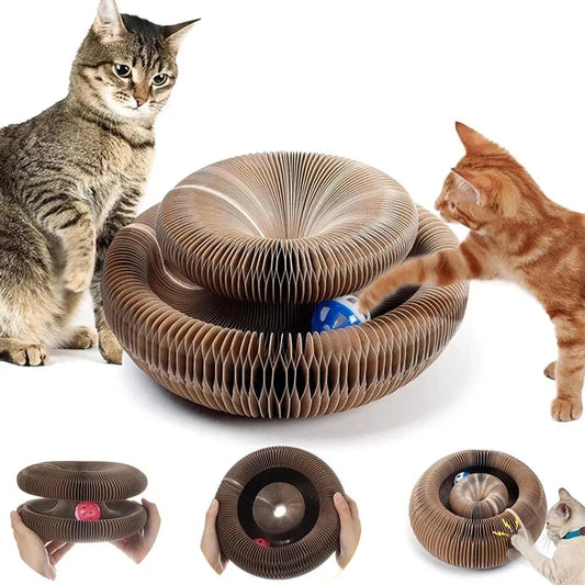 Magic Cat Scratch Organ Board Cat Toy with Ball Cat Grinding Claw