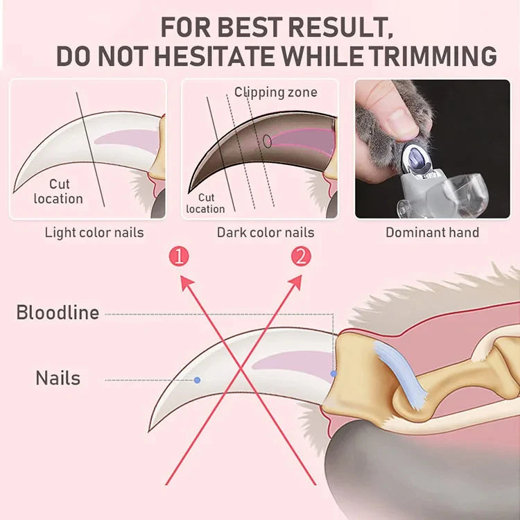 Clipper Scissors With LED Light Cat Dog Nail Clippers Tool Scissors Nail