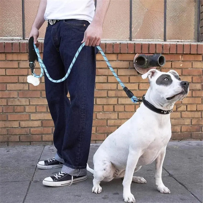 Double Heavy Duty Traction Rope For Strong Dogs - Enhance Safety And Contr