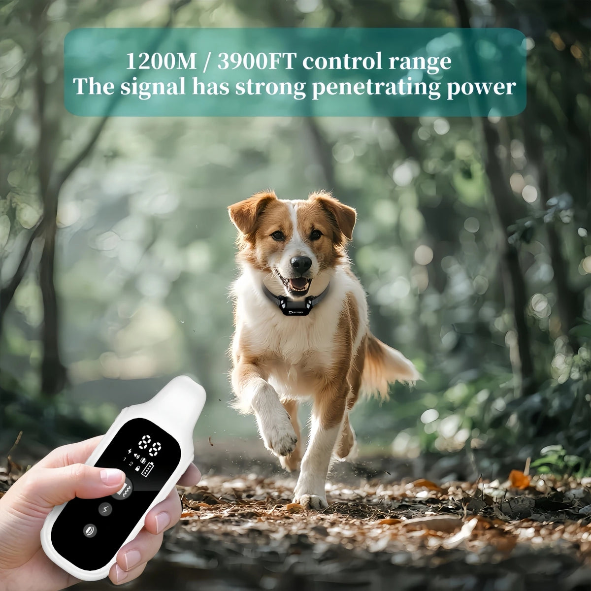  Digital Dog Control Pet with LCD Display for All Size Shock Vibration Sound
