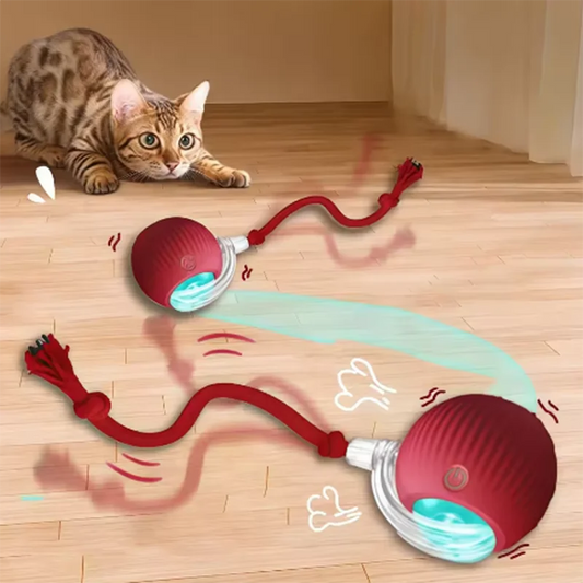 Hot intelligent interactive cat ball long-lasting pet dog toys