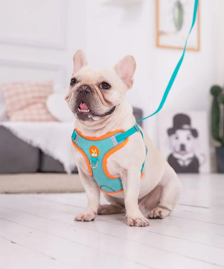 Adjustable No Pull Pet Reflective Dog Harness Lead Walking Running 