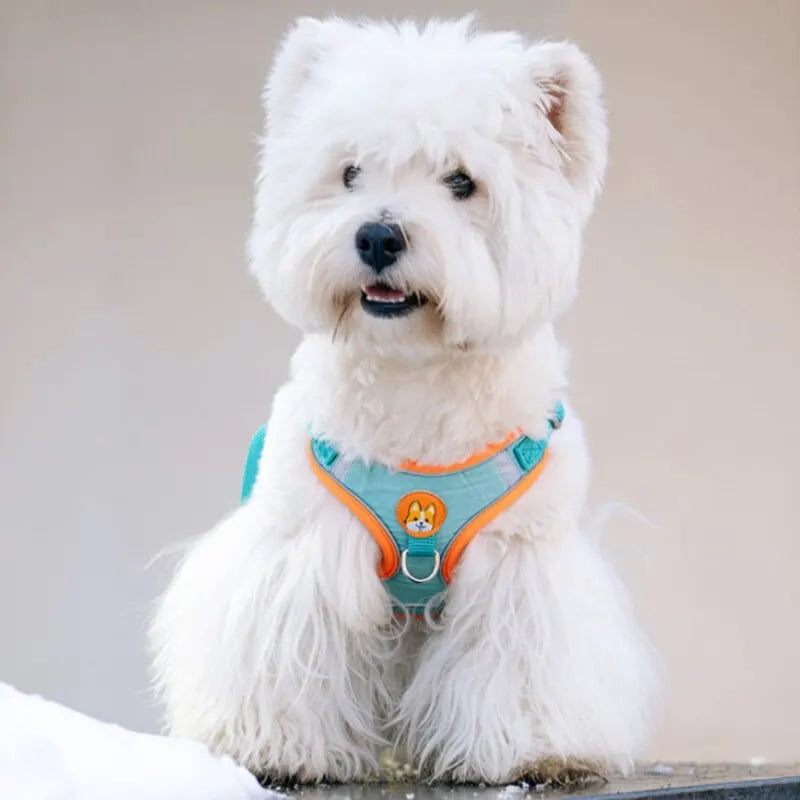 Adjustable No Pull Pet Reflective Dog Harness Lead Walking Running 