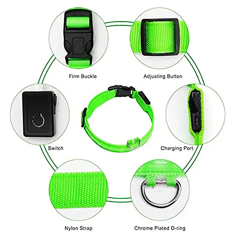 Usb Charging Glowing Dog Collar