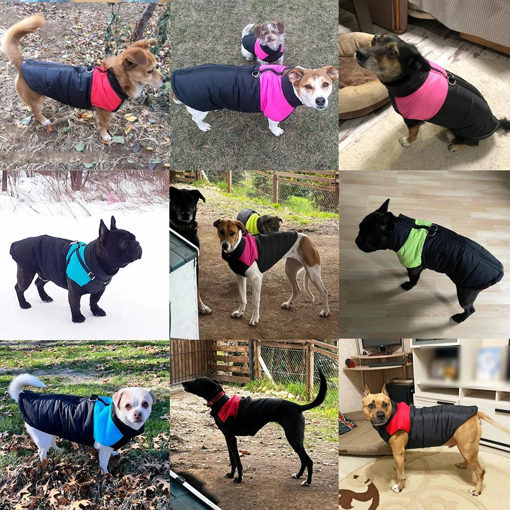 Pet Dog Jacket Warm Winter Clothes For Small Large Dogs