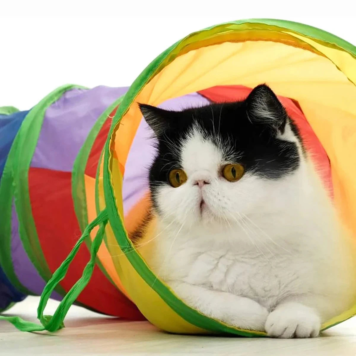 Cat Tunnel Tube Foldable Cat Toys Kitty 