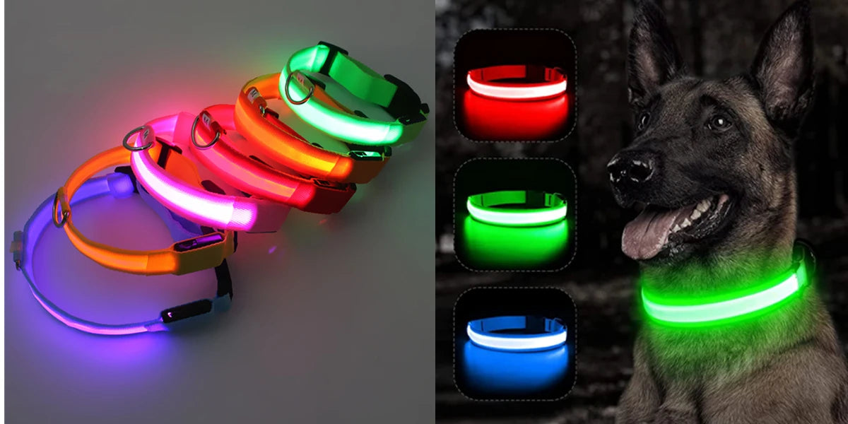 Usb Charging Glowing Dog Collar