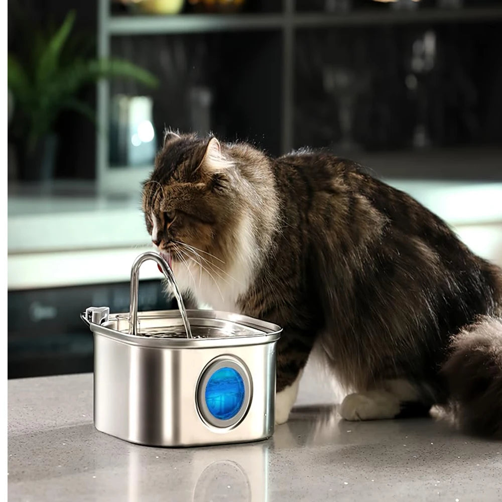 Pet Water Feeder Dog Water Fountain with Window（No 5V 1A Plug）