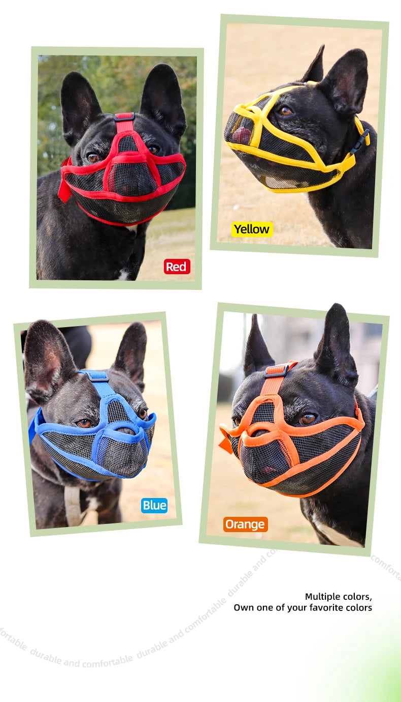 Dog Muzzle for Short