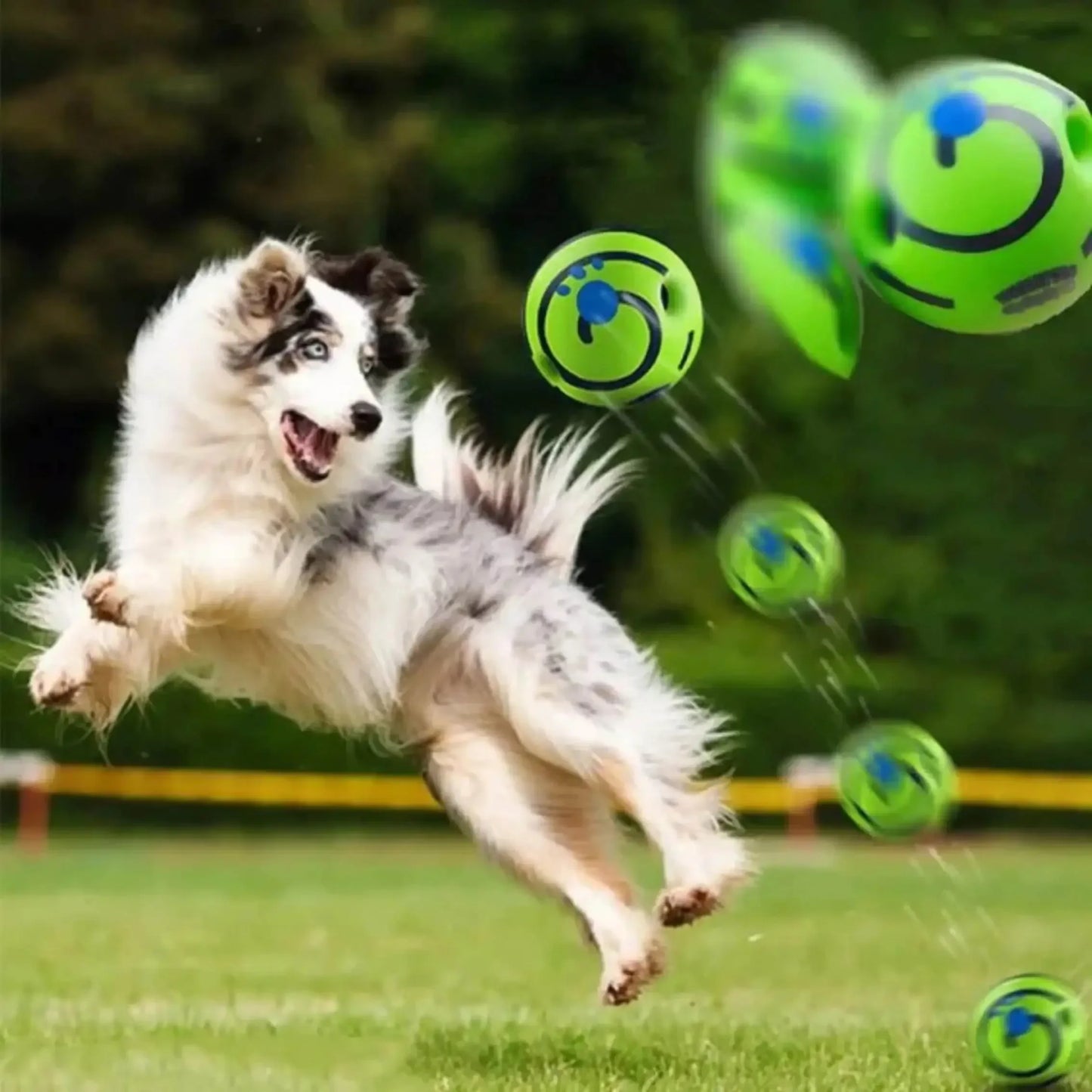 Funny Balls for Dog IQ Training, Pet Interactive Toy, Stimulating Play, Mental Stimulation, and Exerci