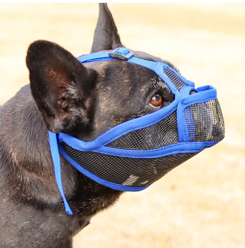 Dog Muzzle for Short