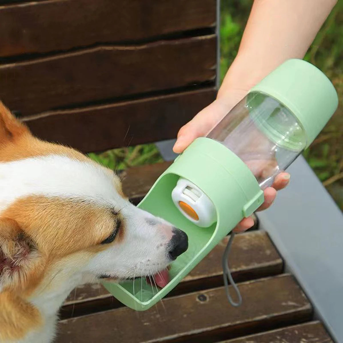 Portable Dog Cat Water Bottle with Storage Food