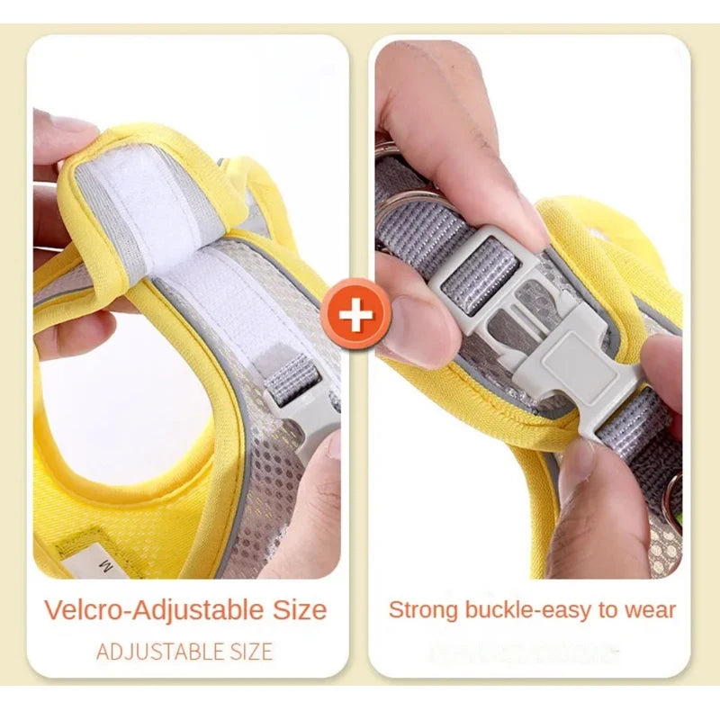 Cat Dog Harness Vest Chest Rope Set Reflective