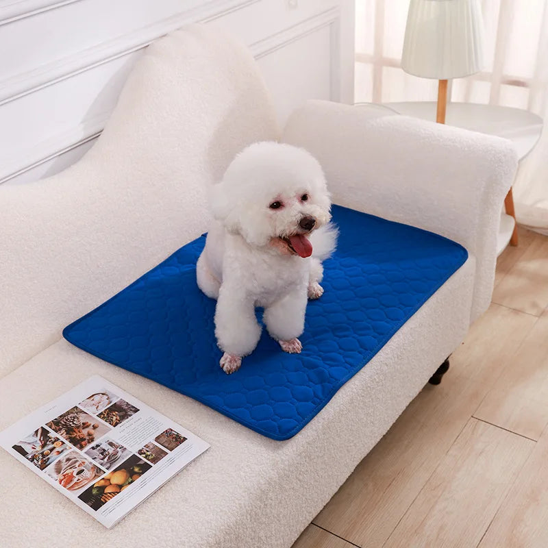 Dog Pee Pad Blanket Reusable Absorbent Diaper Washable Puppy