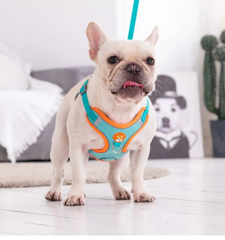 Adjustable No Pull Pet Reflective Dog Harness Lead Walking Running 