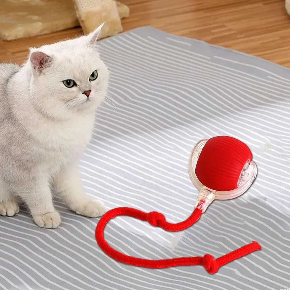 Automatic Rolling Ball Interactive 