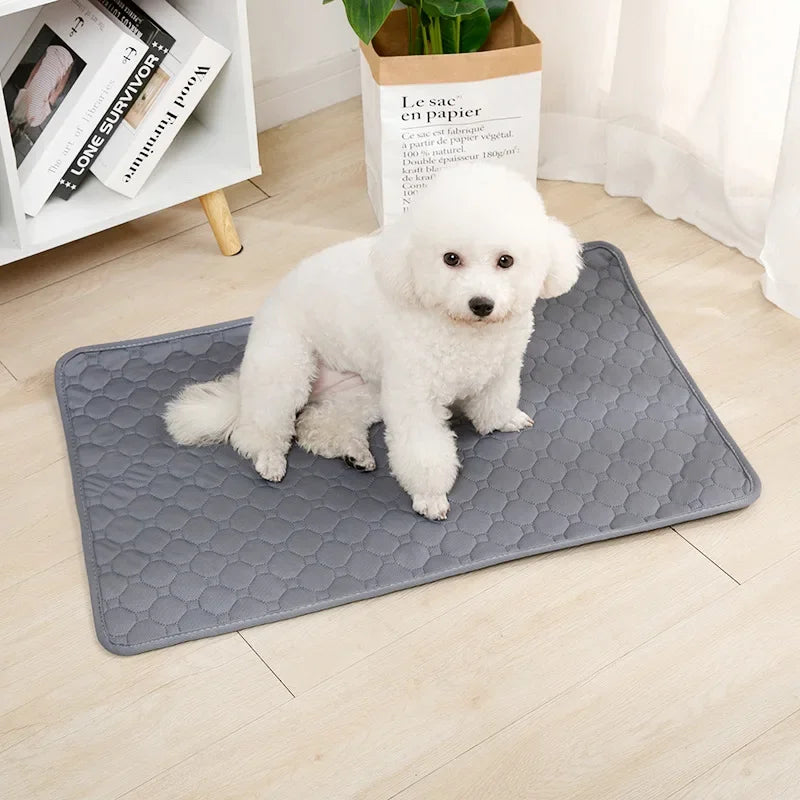 Dog Pee Pad Blanket Reusable Absorbent Diaper Washable Puppy