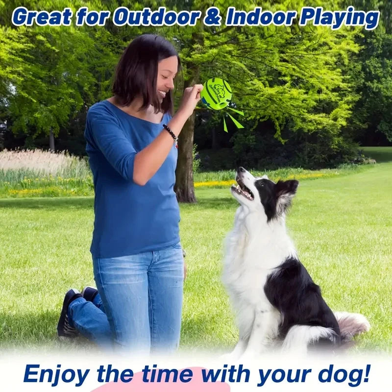 Funny Balls for Dog IQ Training, Pet Interactive Toy, Stimulating Play, Mental Stimulation, and Exerci