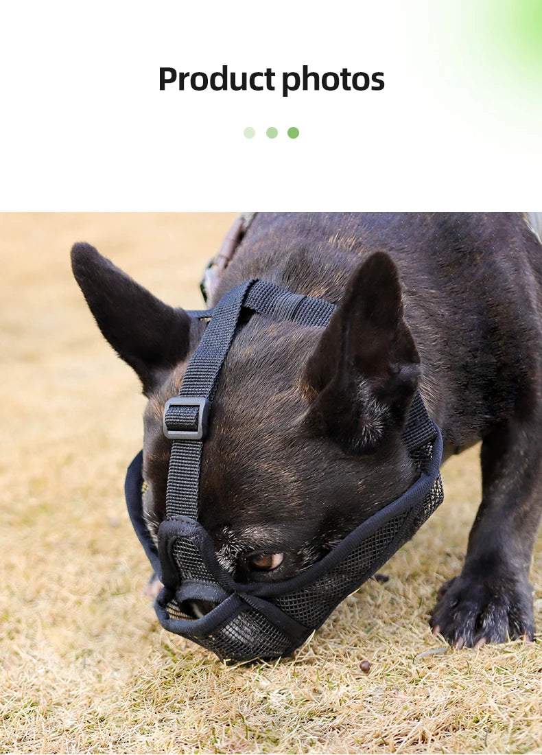 Dog Muzzle for Short