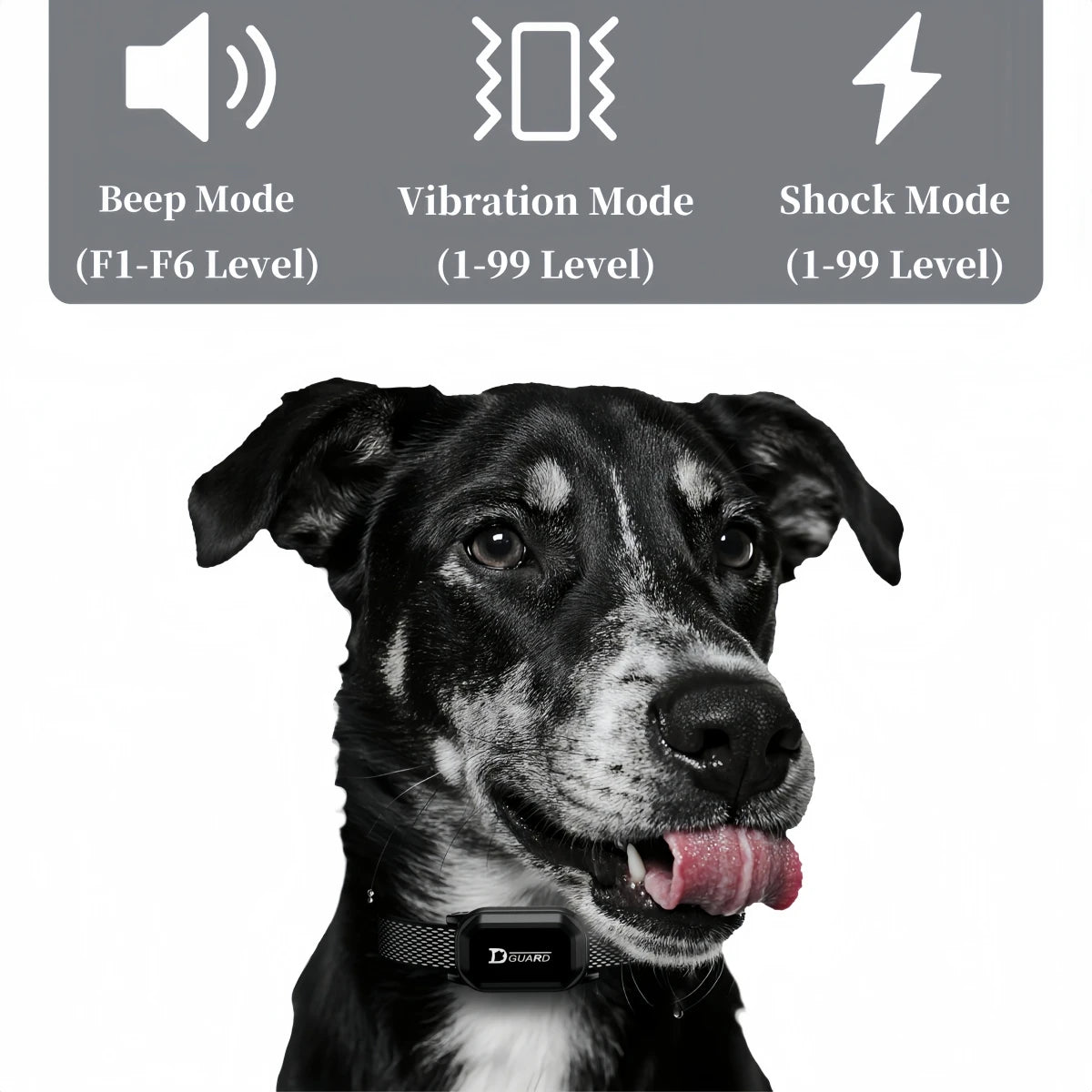  Digital Dog Control Pet with LCD Display for All Size Shock Vibration Sound