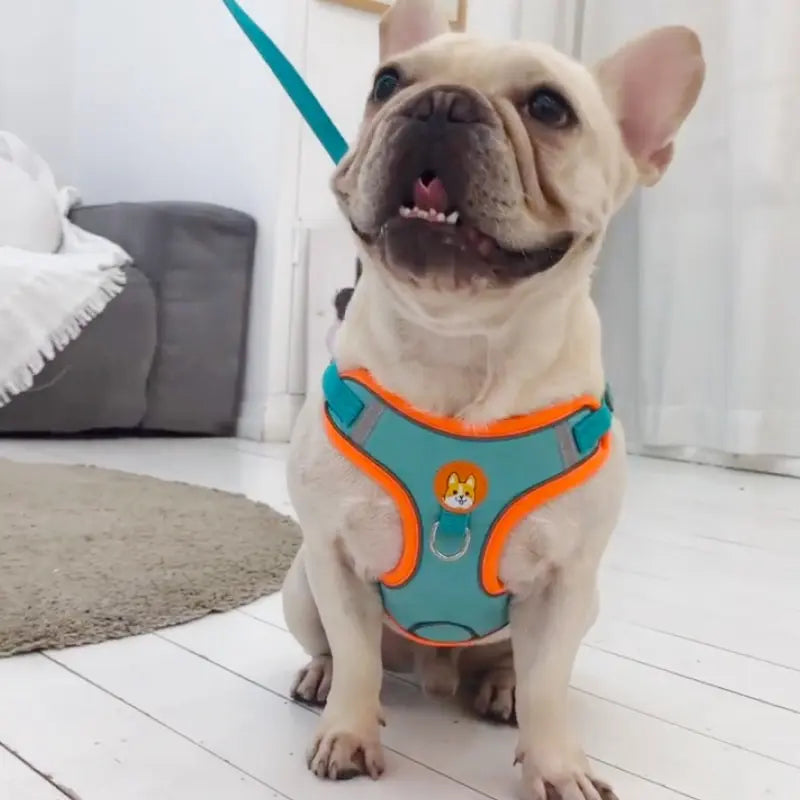 Adjustable No Pull Pet Reflective Dog Harness Lead Walking Running 