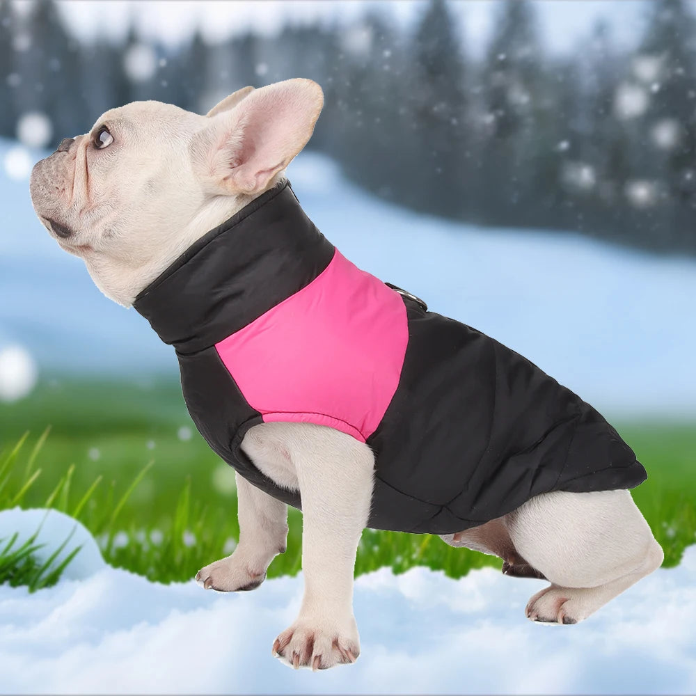 Pet Dog Jacket Warm Winter Clothes For Small Large Dogs