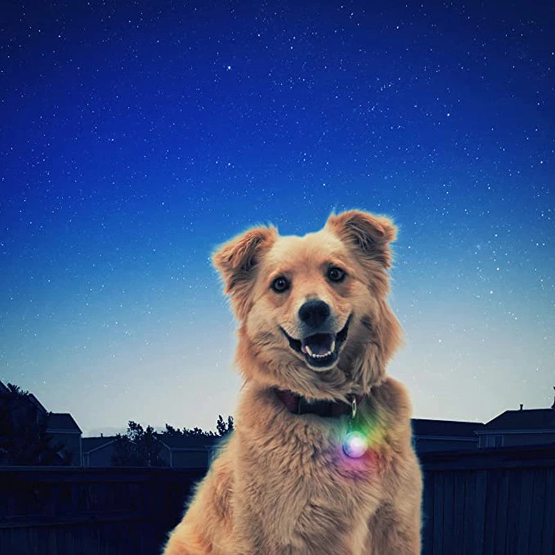 Usb Charging Glowing Dog Collar