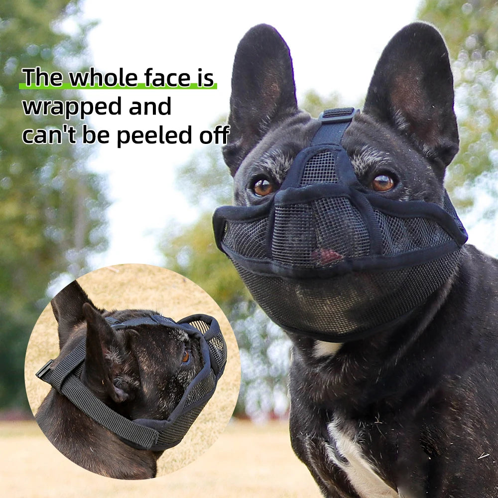 Dog Muzzle for Short