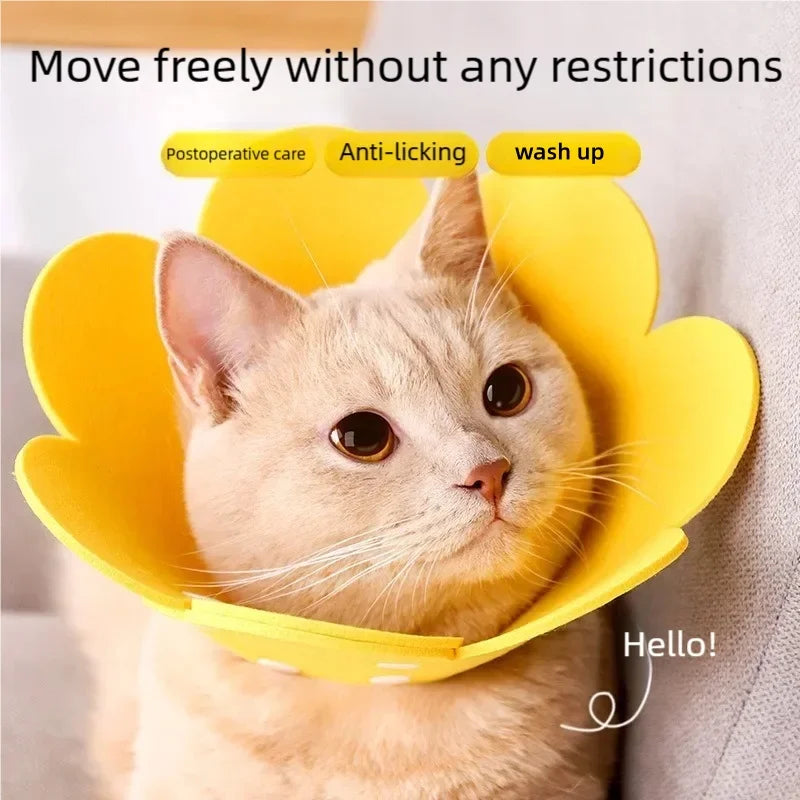 Soft Adjustable Flower Shaped Pet Recovery Collar