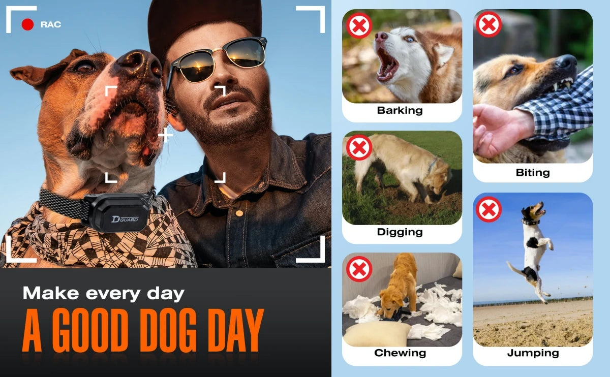  Digital Dog Control Pet with LCD Display for All Size Shock Vibration Sound