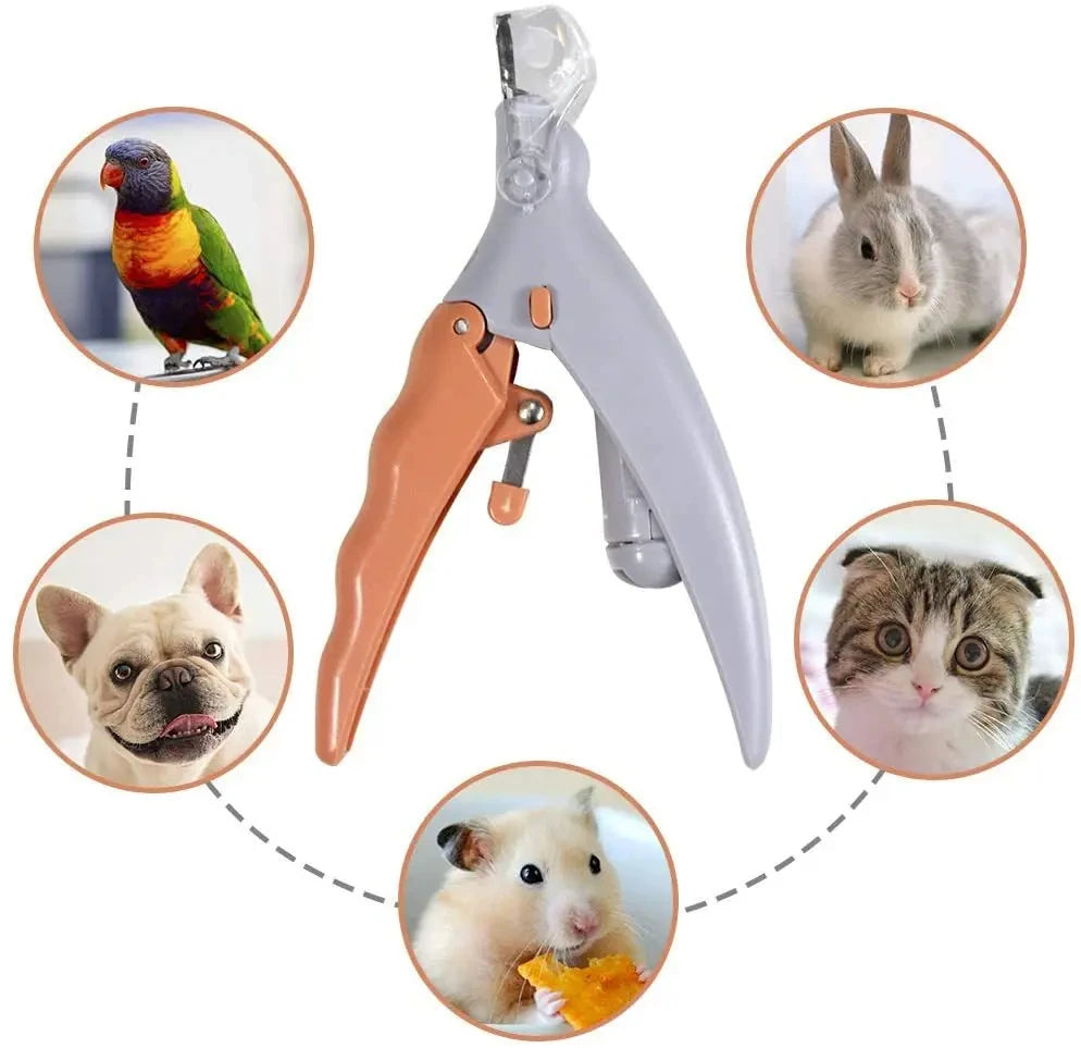 Clipper Scissors With LED Light Cat Dog Nail Clippers Tool Scissors Nail
