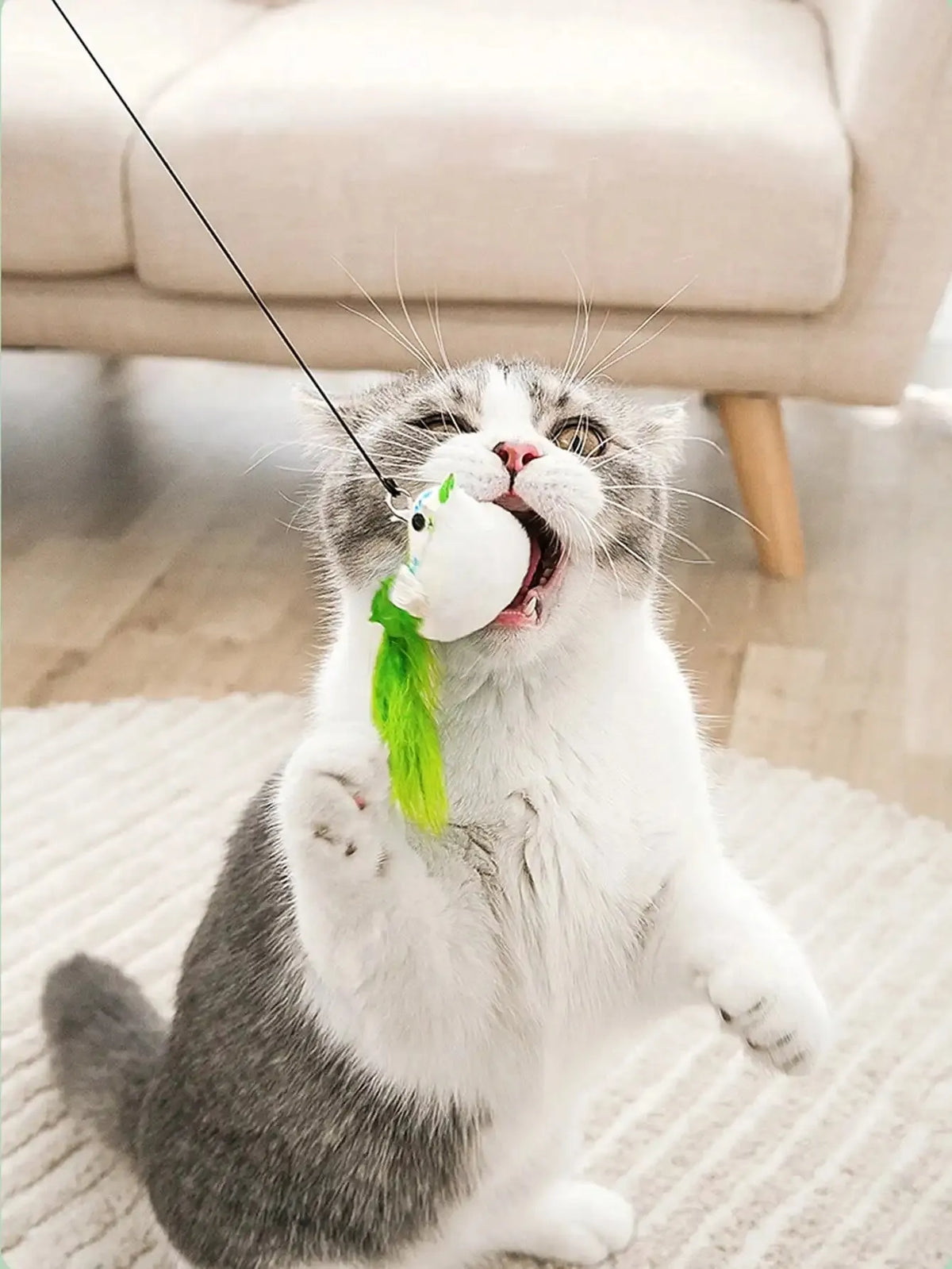 Interactive Sucker Feather Bell Funny Cat Toys