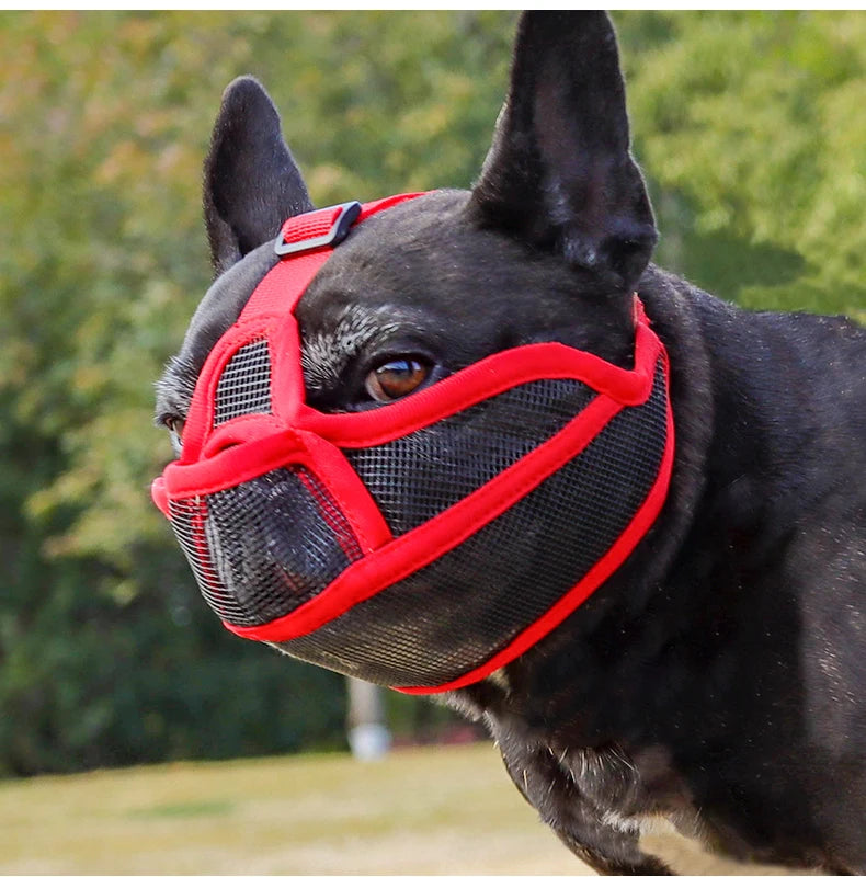 Dog Muzzle for Short