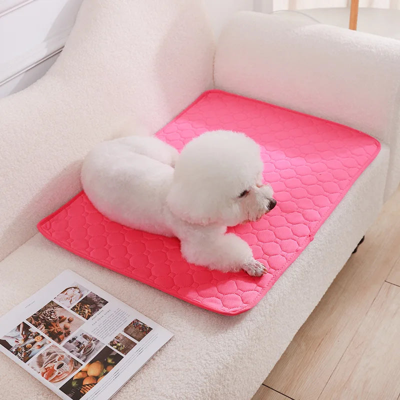 Dog Pee Pad Blanket Reusable Absorbent Diaper Washable Puppy