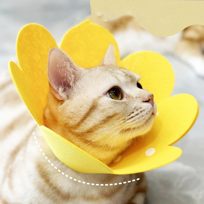 Soft Adjustable Flower Shaped Pet Recovery Collar