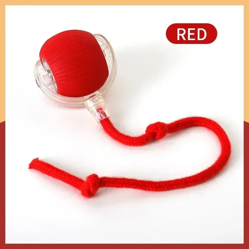 Automatic Rolling Ball Interactive 