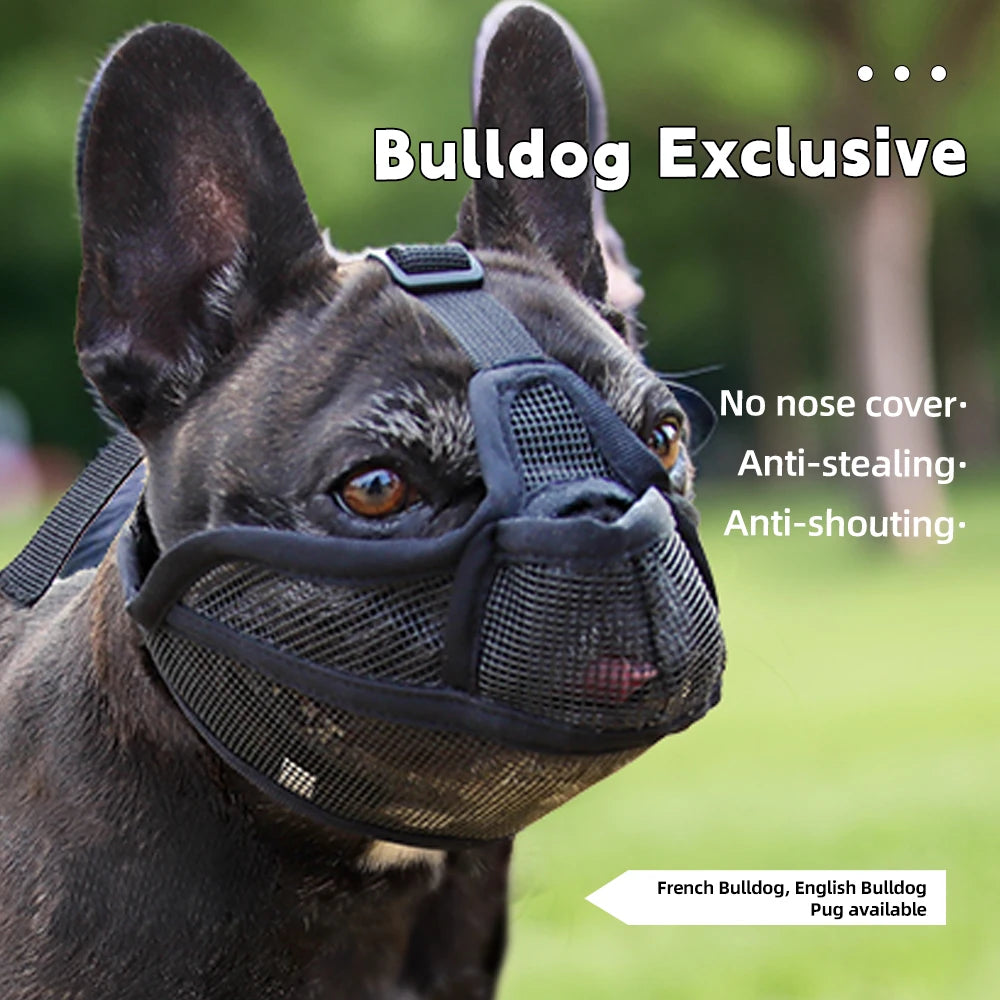 Dog Muzzle for Short