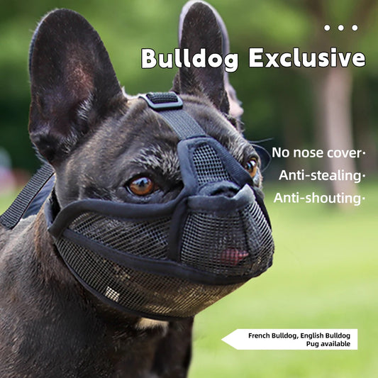 Dog Muzzle for Short