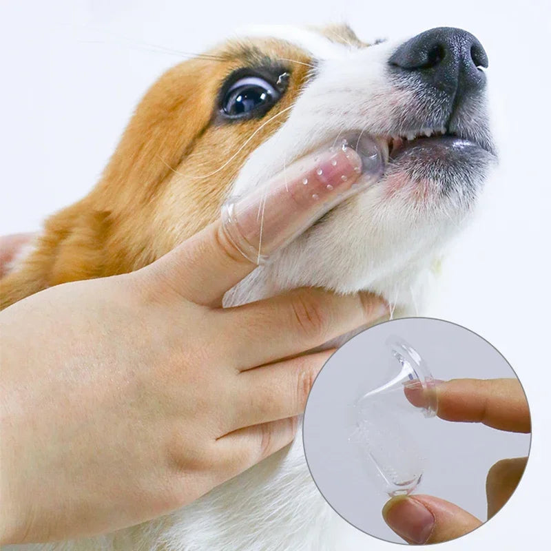 Dog Brush Bad Breath Tartar Teeth Care Tool Dog Cat Cleaning Silicagel 