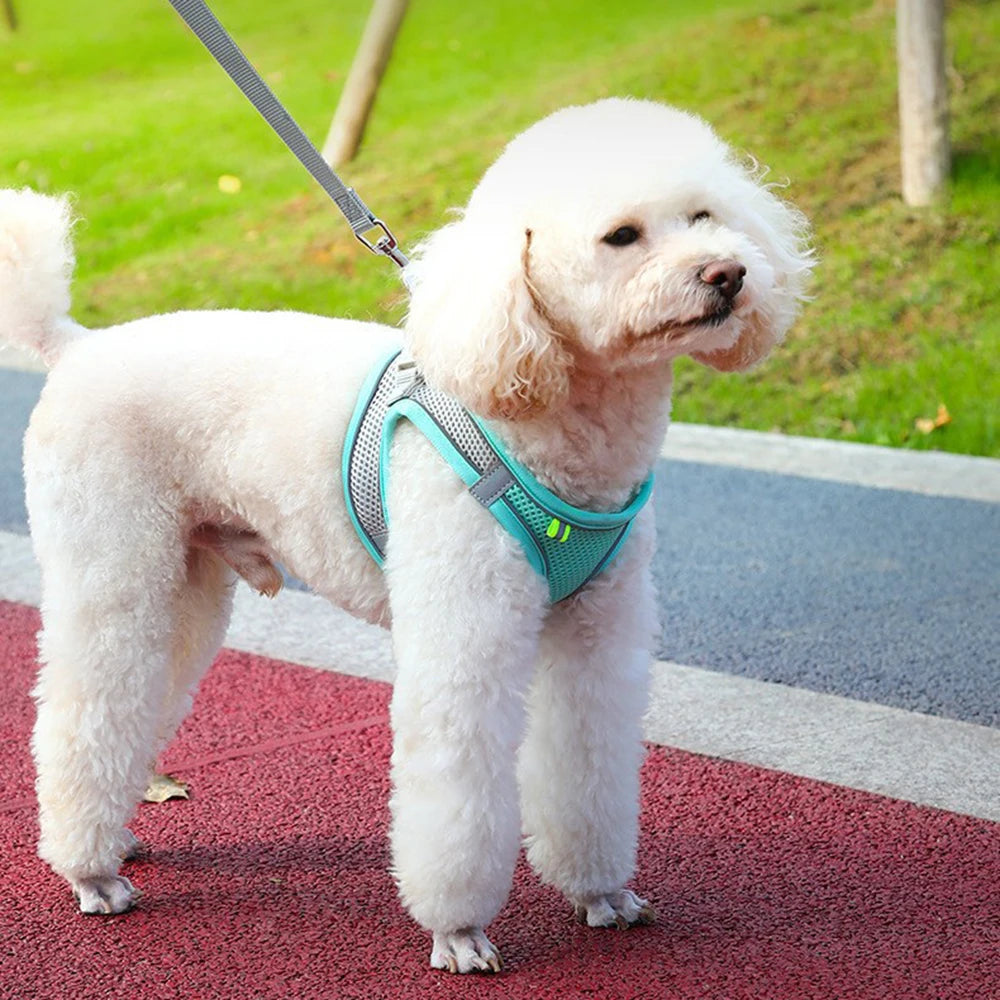 Cat Dog Harness Vest Chest Rope Set Reflective
