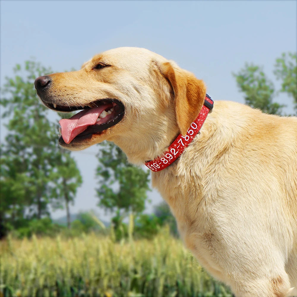 Pet Collars For Small Medium Large Dogs