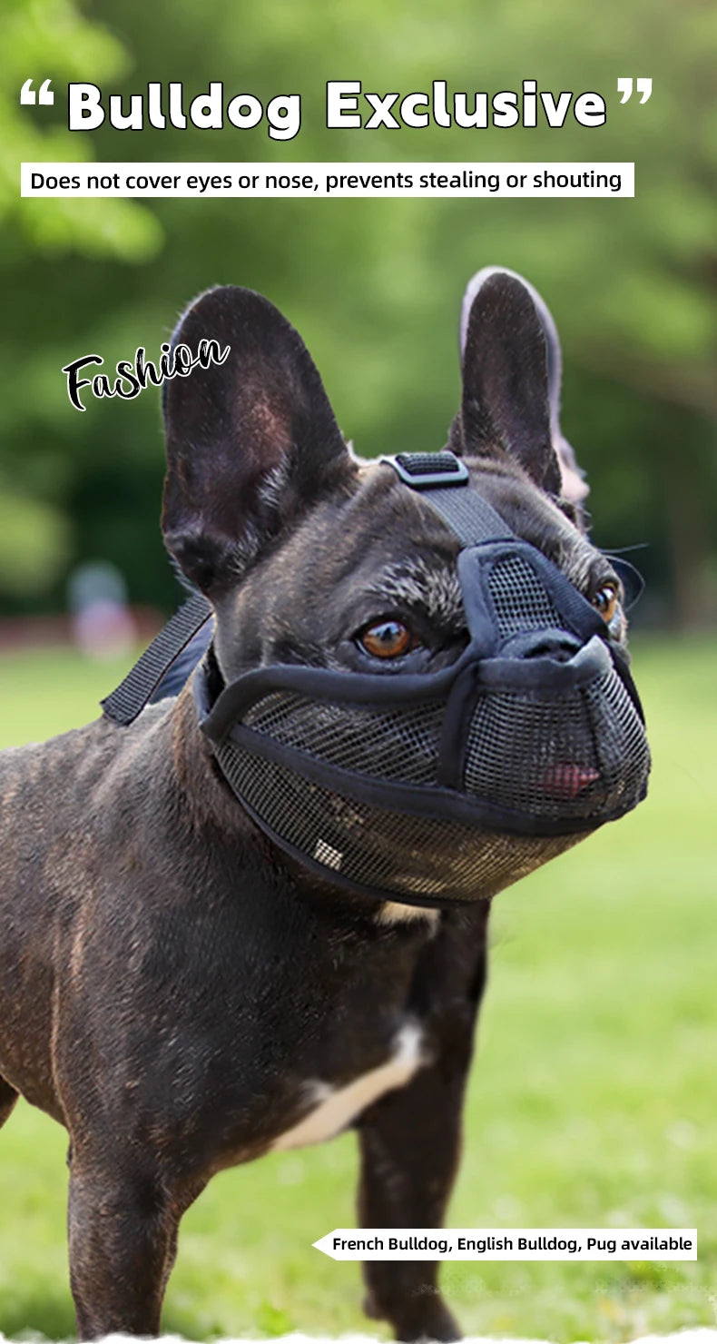 Dog Muzzle for Short